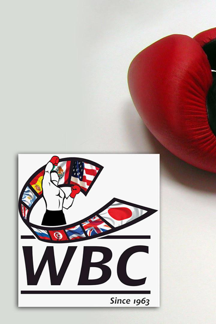 Профессиональный бокс. Эммануэль Родригес против Реймарта Габалло. Бой за титул чемпиона WBC в легчайшем весе. Трансляция из США