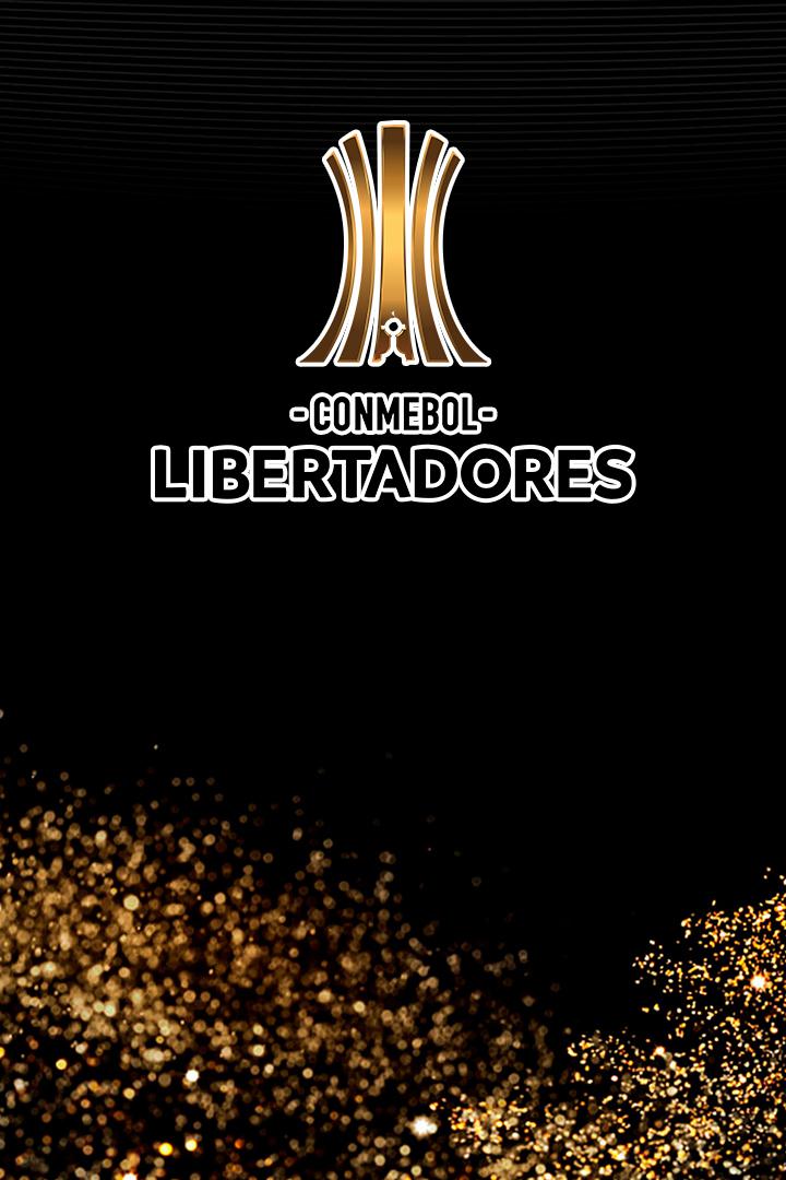 Кубок Либертадорес. 1/4 финала. Бока Хуниорс (Аргентина) - Расинг (Аргентина). Ответный матч