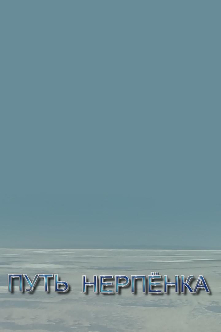 Путь нерпёнка