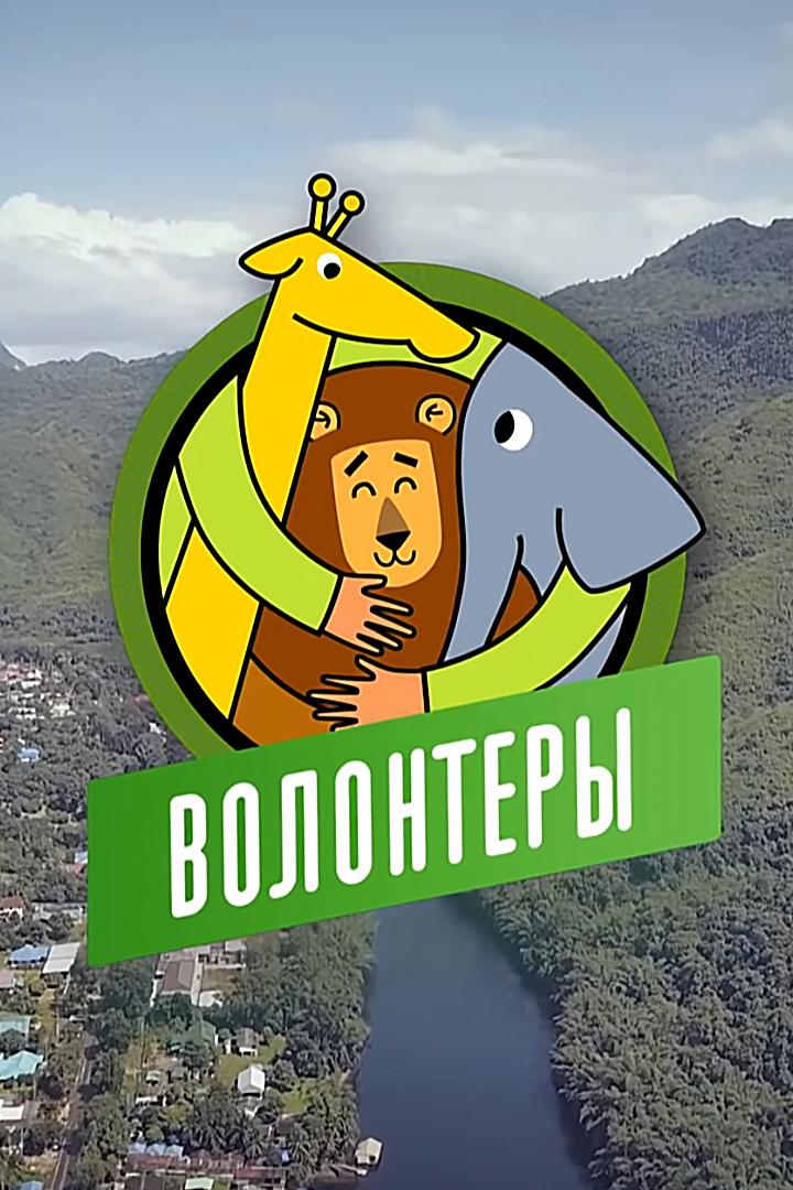 Волонтёры