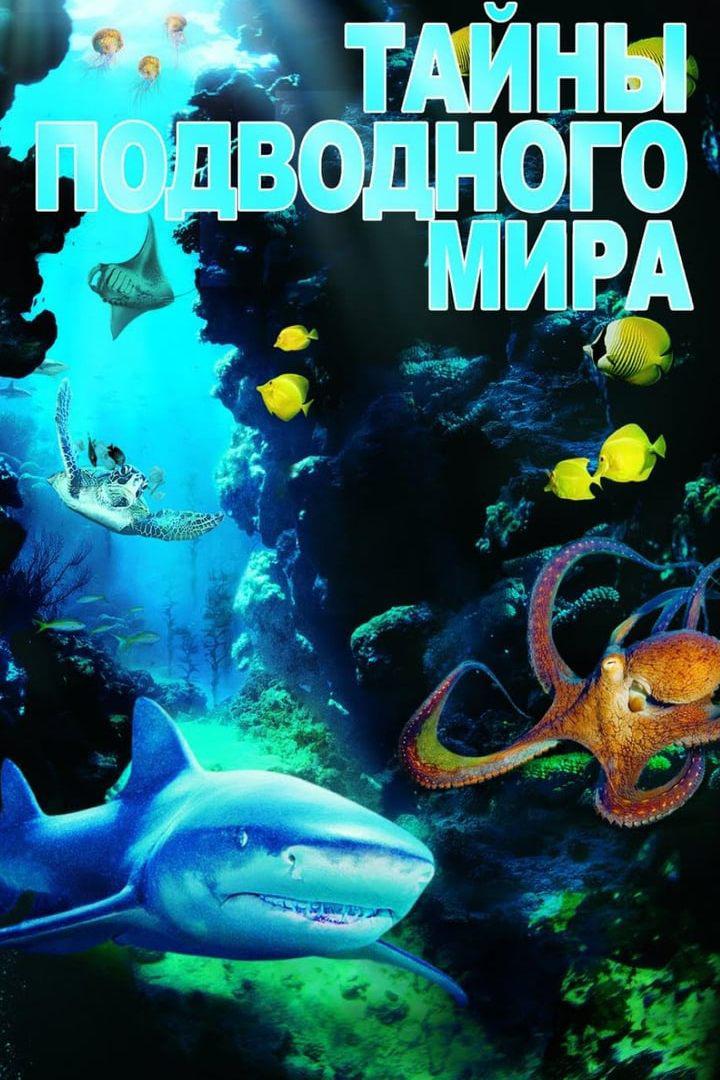Тайны подводного мира 3D
