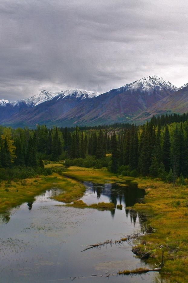 В дебри тайги