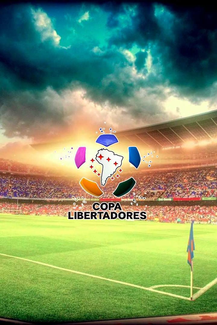 Кубок Либертадорес. 1/2 финала. Палмейрас (Бразилия) - Ривер Плейт (Аргентина). Ответный матч