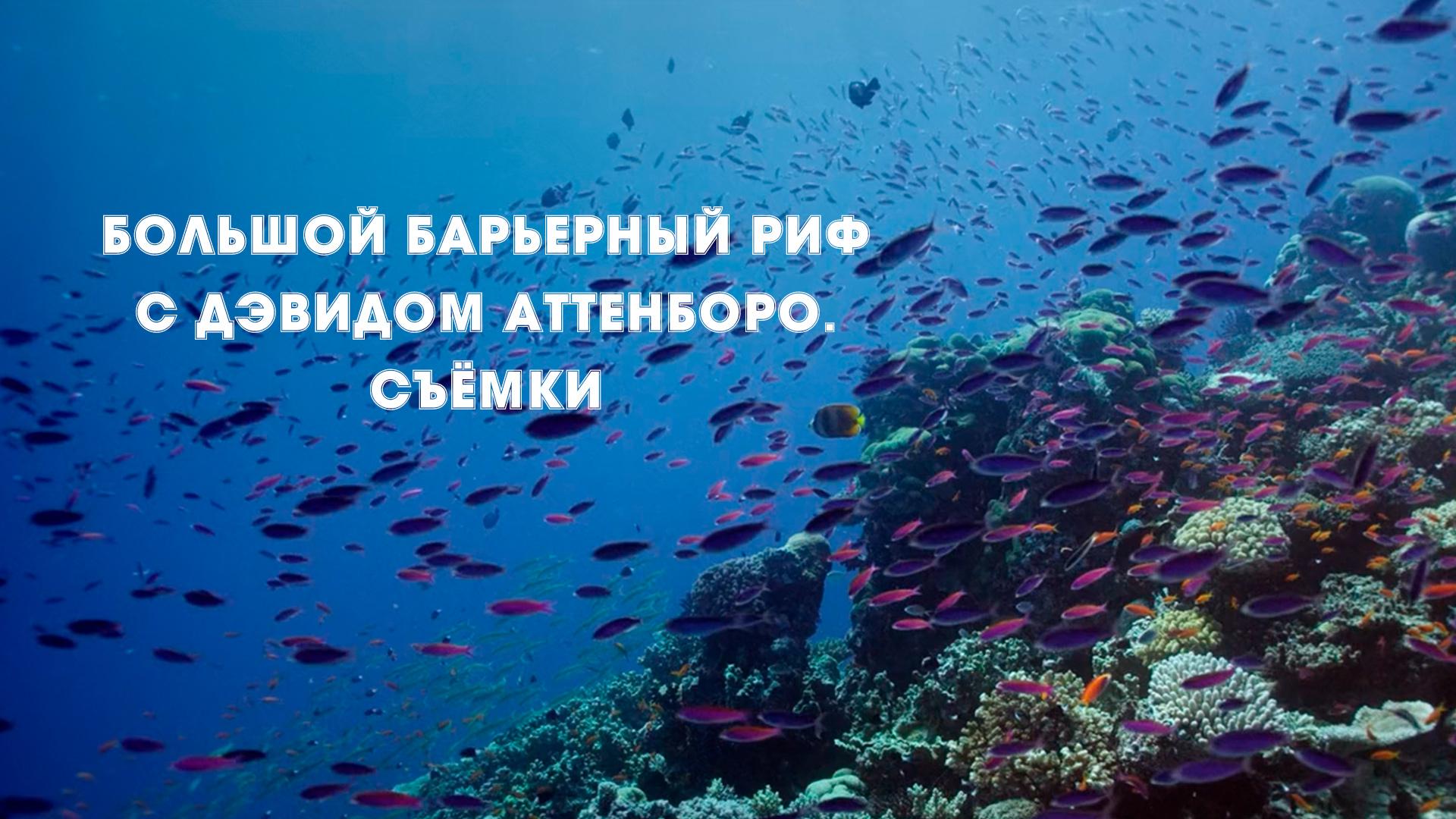 Большой барьерный риф с Дэвидом Аттенборо. Съёмки