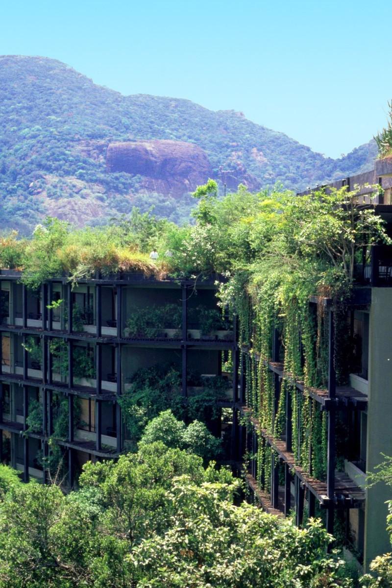 Шри-Ланка. Джунгли и руины