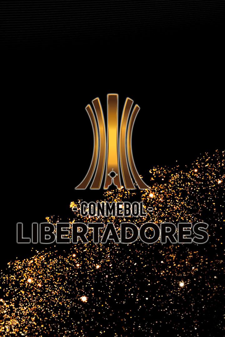 Кубок Либертадорес. Финал. "Палмейрас" (Бразилия) - "Сантос" (Бразилия)