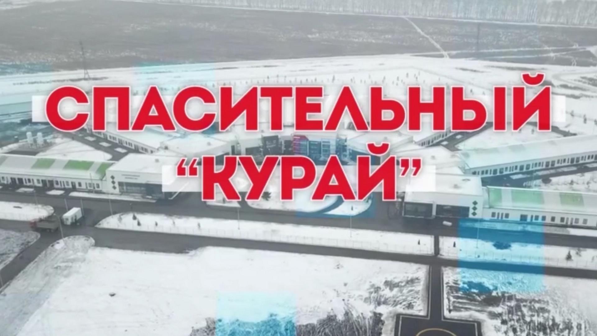 Спасительный курай