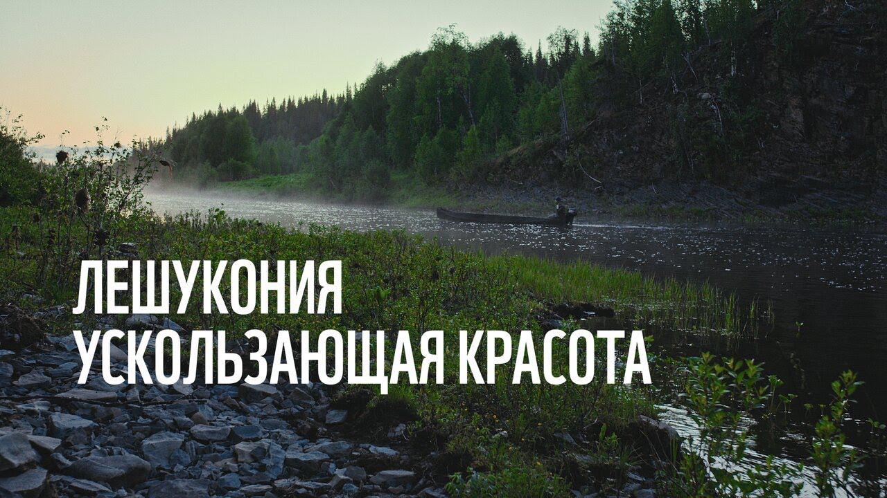 Лешукония. Ускользающая красота