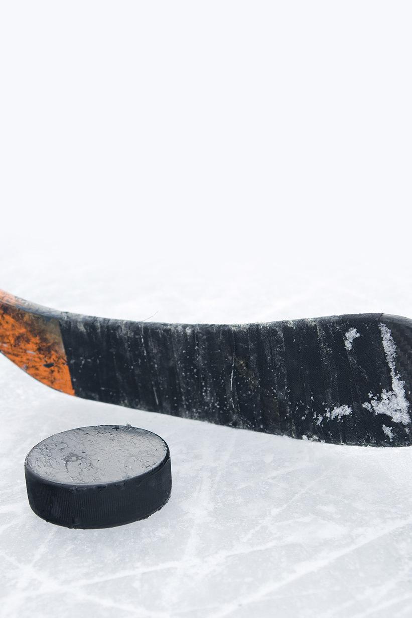 Хоккей. МХЛ. Омские Ястребы - Мамонты Югры