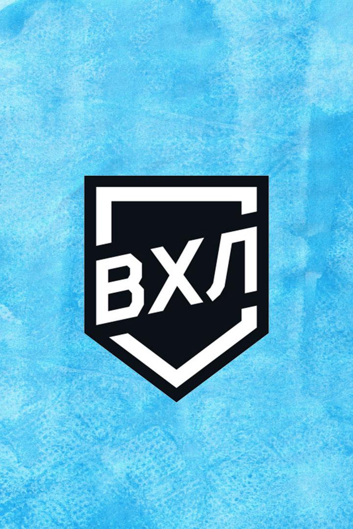 Хоккей. ВХЛ. Рубин - Динамо СПб