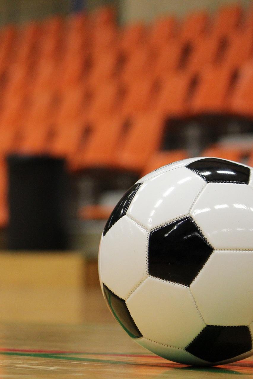 Мини-футбол. Лига чемпионов. Мужчины. 1/8 финала. "Газпром-Югра" (Россия) - "Витис" (Литва)