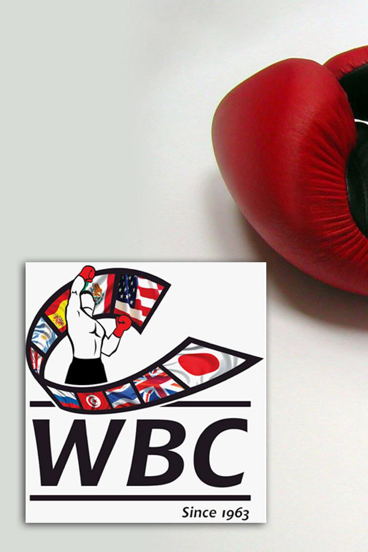 Профессиональный бокс. Мигель Берчельт против Оскара Вальдеса. Бой за титул чемпиона мира по версии WBC в первом лёгком весе. Трансляция из США