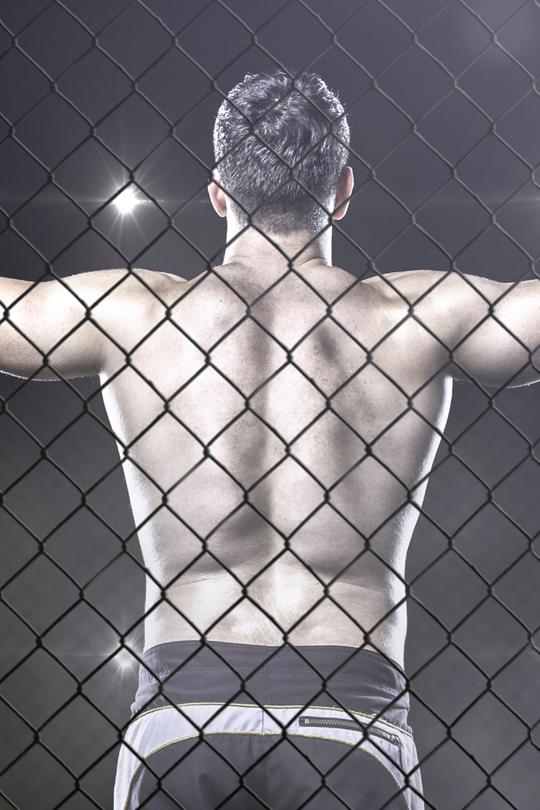 Турнир по смешанным единоборствам UFC. Ян Блахович vs Исраэль Адесанья