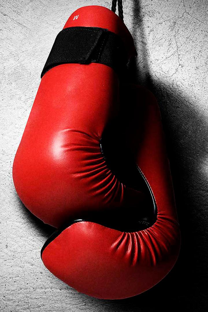 Профессиональный бокс Дэвид Бенавидес против Рональда Эллиса. Трансляция из США