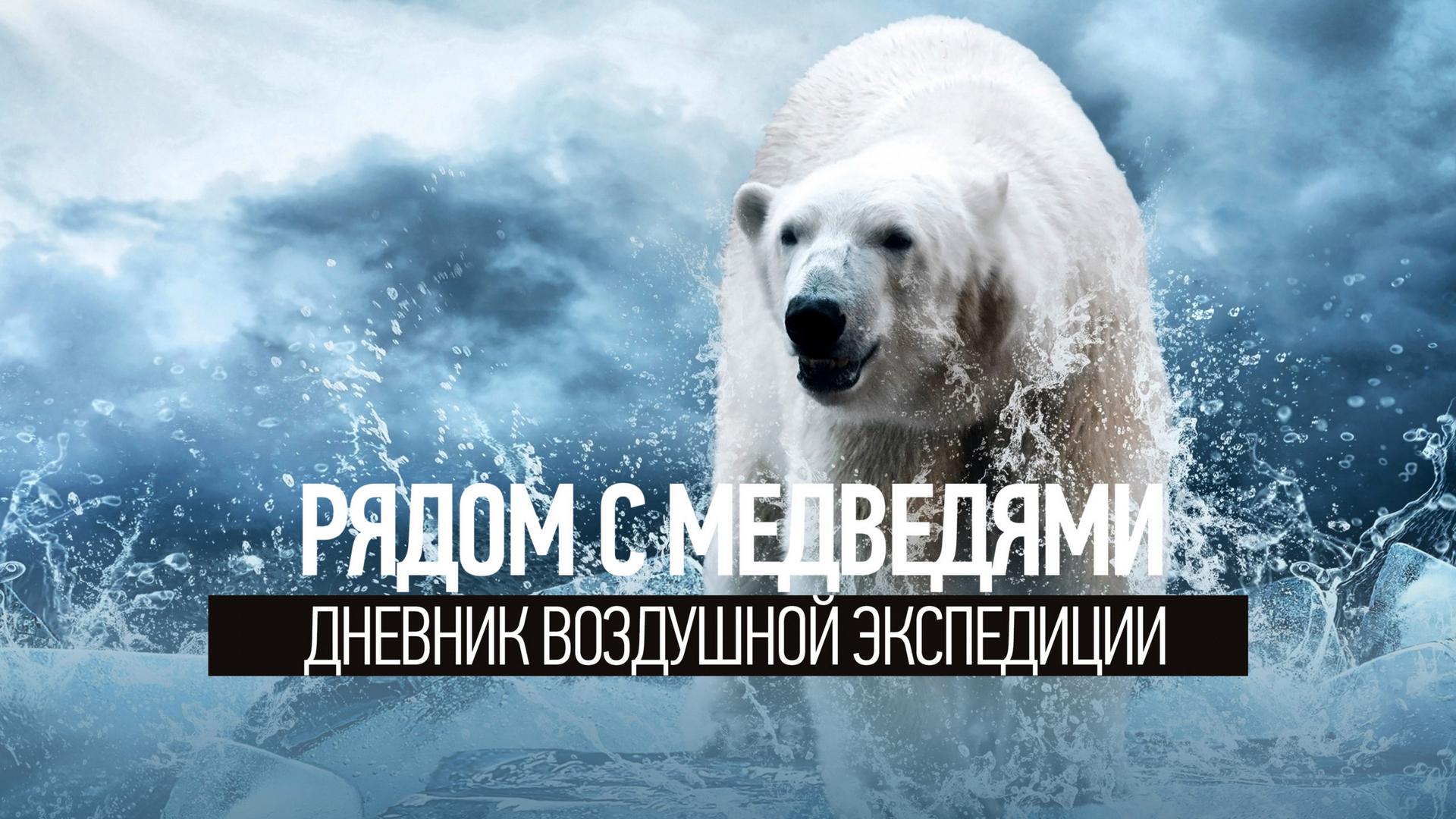 Рядом с медведями. Дневник воздушной экспедиции