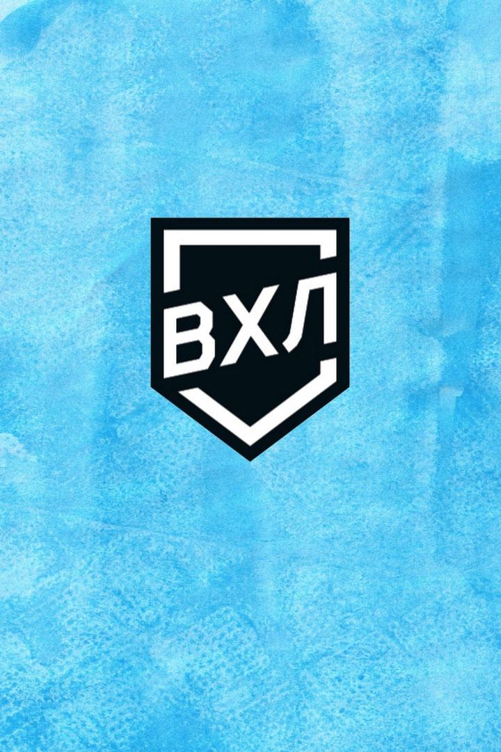 Хоккей. ВХЛ. Динамо СПб - Тамбов