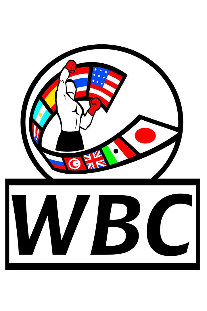 Профессиональный бокс. Шон Портер против Себастиана Формеллы. Бой за титул чемпиона WBC Silver. Трансляция из США