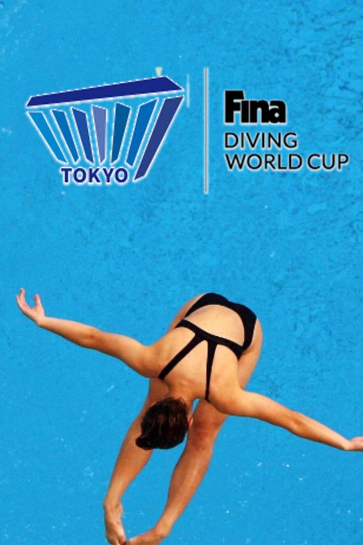 Прыжки в воду. Кубок мира. Мужчины. Вышка. Синхронные прыжки. Трансляция из Японии