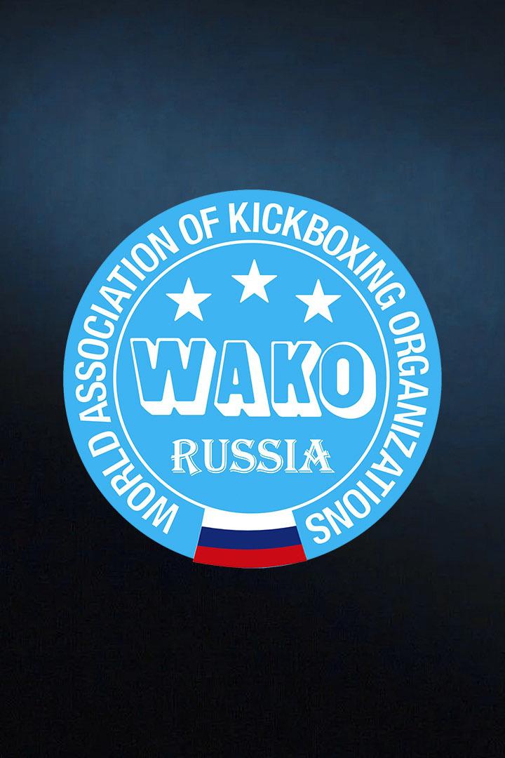 Кикбоксинг. Турнир G-PRO Russian Open