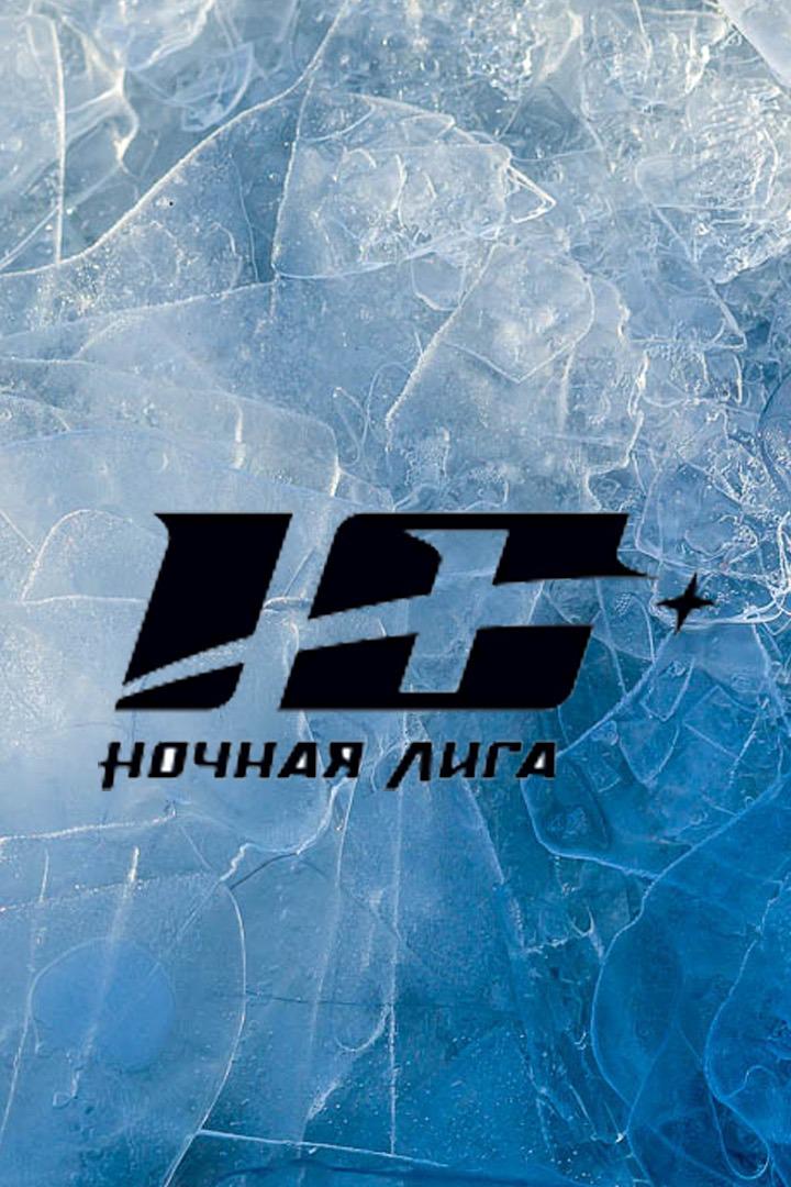 Хоккей. Х Фестиваль Ночной Хоккейной Лиги. Сталкер - Центурион