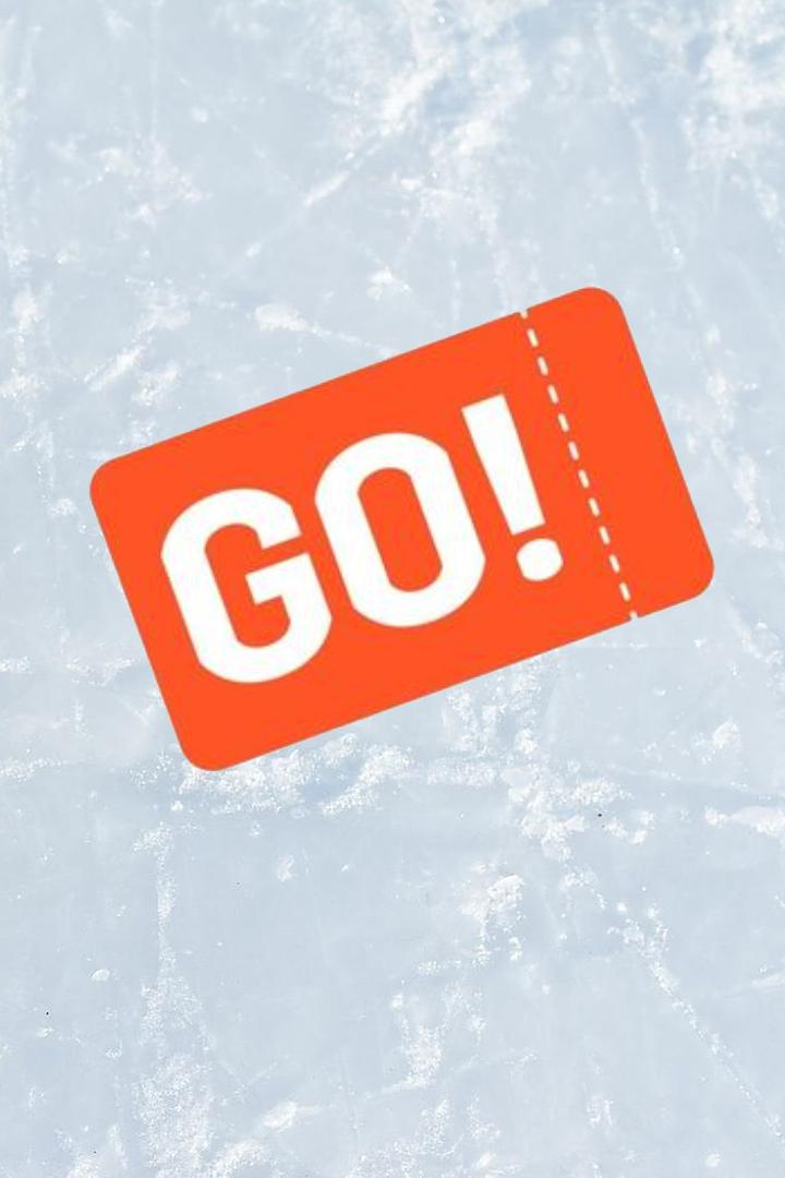 Кубок Go! Hockey. Финал.Трансляция из Москвы