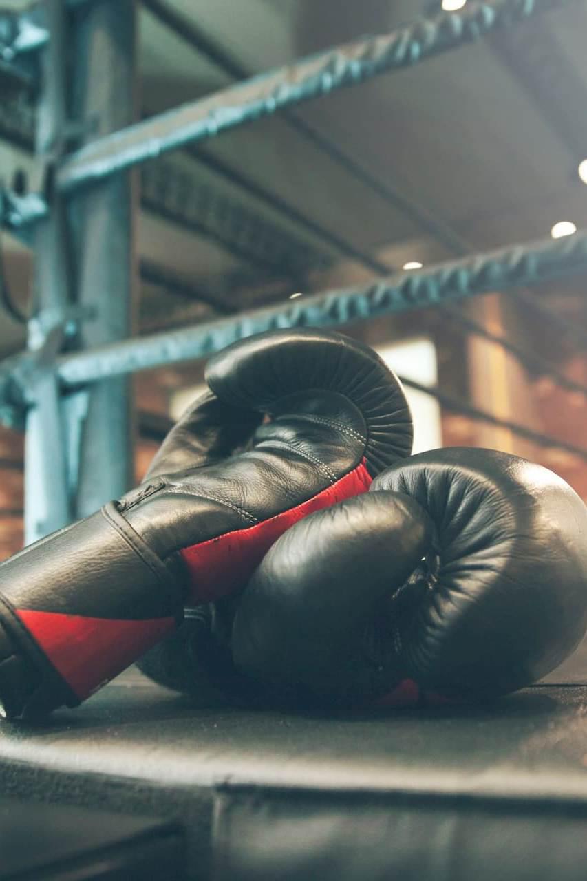 Бокс. Выставочный бой. Флойд Мейвезер - Логан Пол