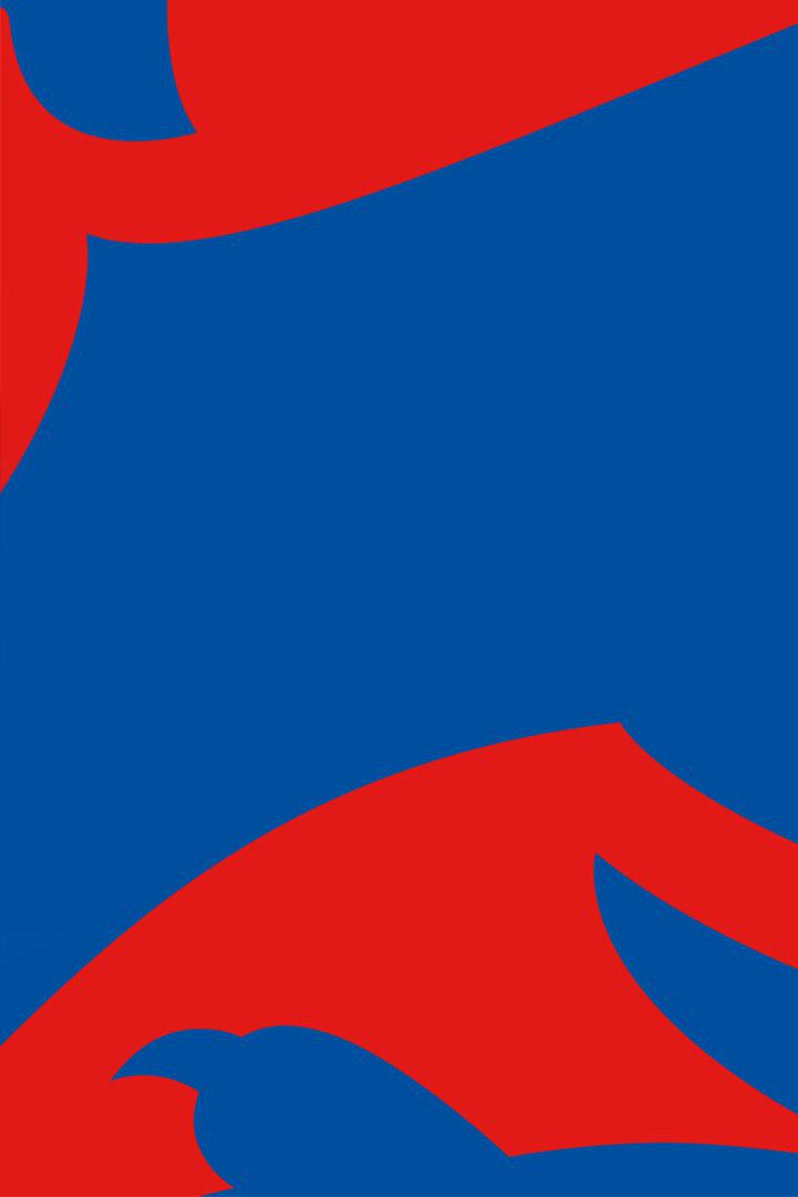 Футбол. Товарищеский матч Польша - Россия