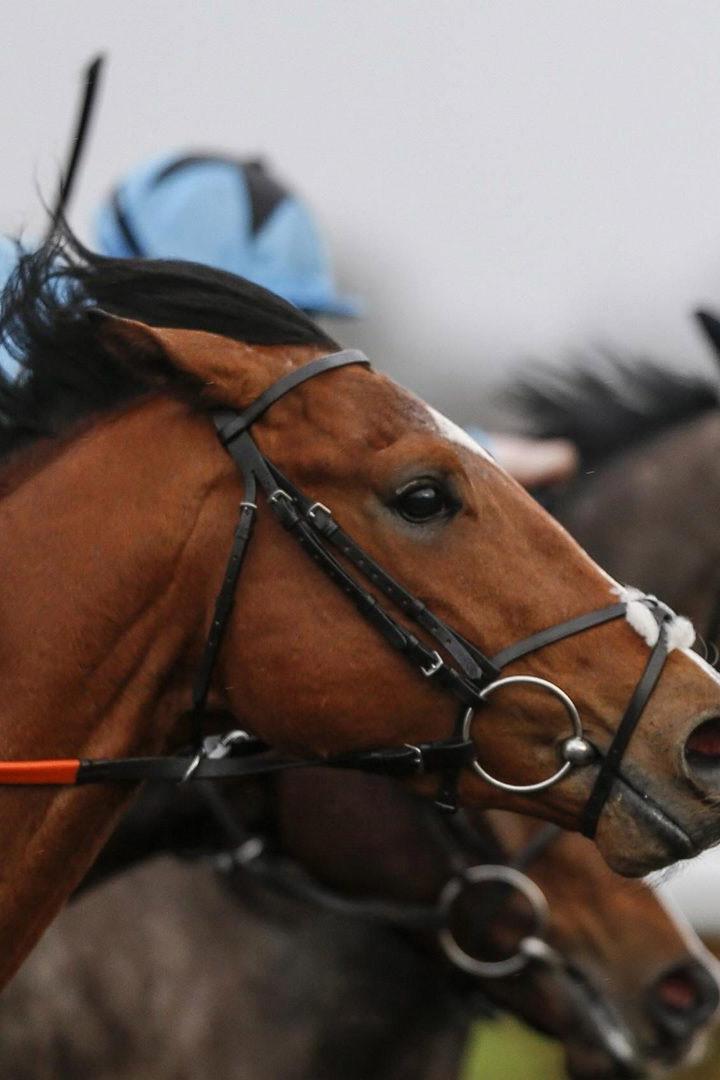 Конные скачки на Призы Главы РС (Я)