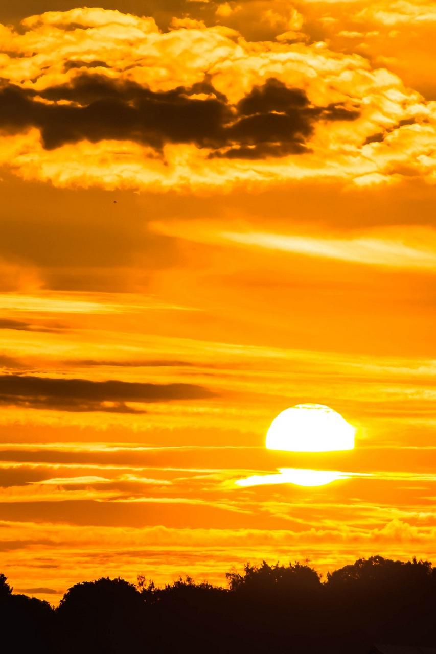 В погоне за солнцем