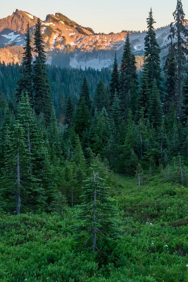 Дебри Центральной Америки