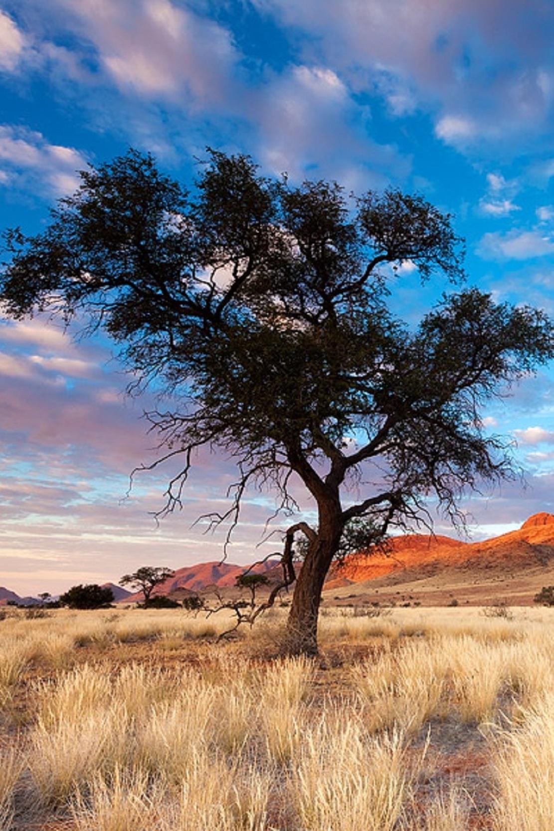 Африканские приключения