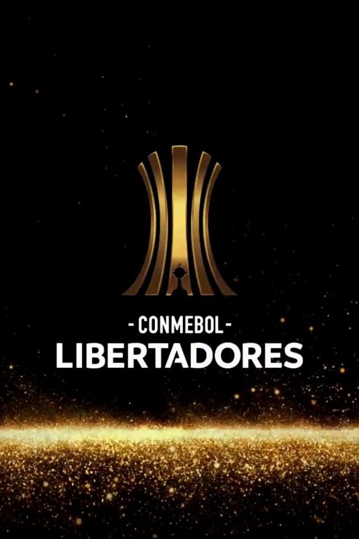 Кубок Либертадорес. 1/4 финала.  Флуминенсе  (Бразилия) -  Барселона  (Эквадор). 1-й матч