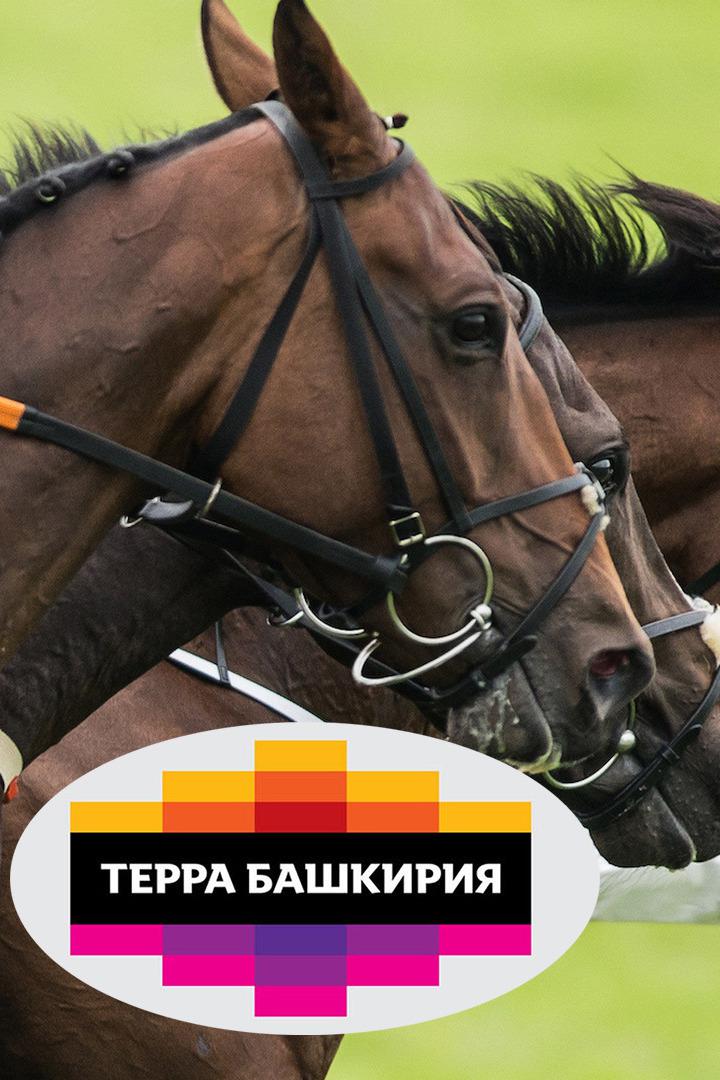 Скачки. Конноспортивный турнир Терра Башкирия 2021. 7 этап