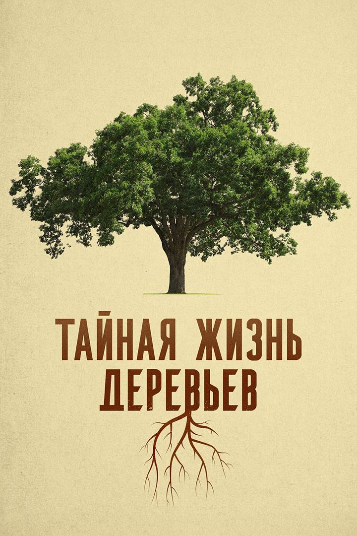 Тайная жизнь деревьев