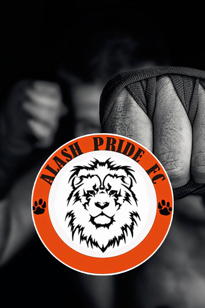 Шоу Alash Pride 66 Grand Prix International (ММА, профессионалы и кикбоксинг). Шымкент (Казахстан)