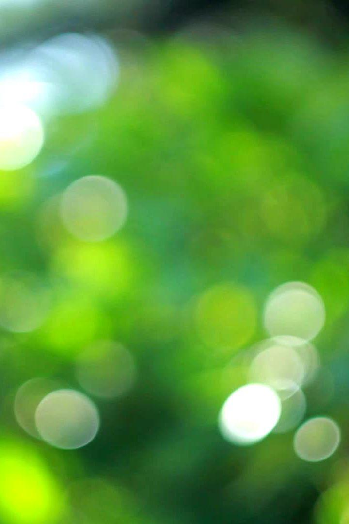 Неукротимая природа