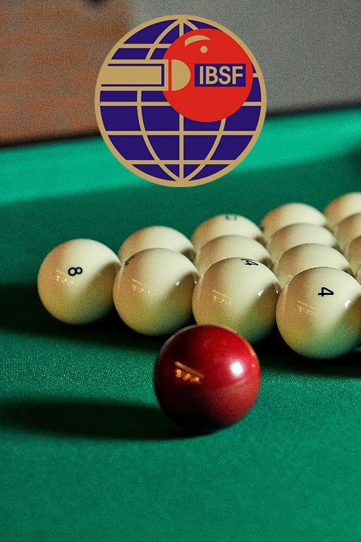 Бильярд. Кубок мира 2021. Финал. Пул. Мужчины
