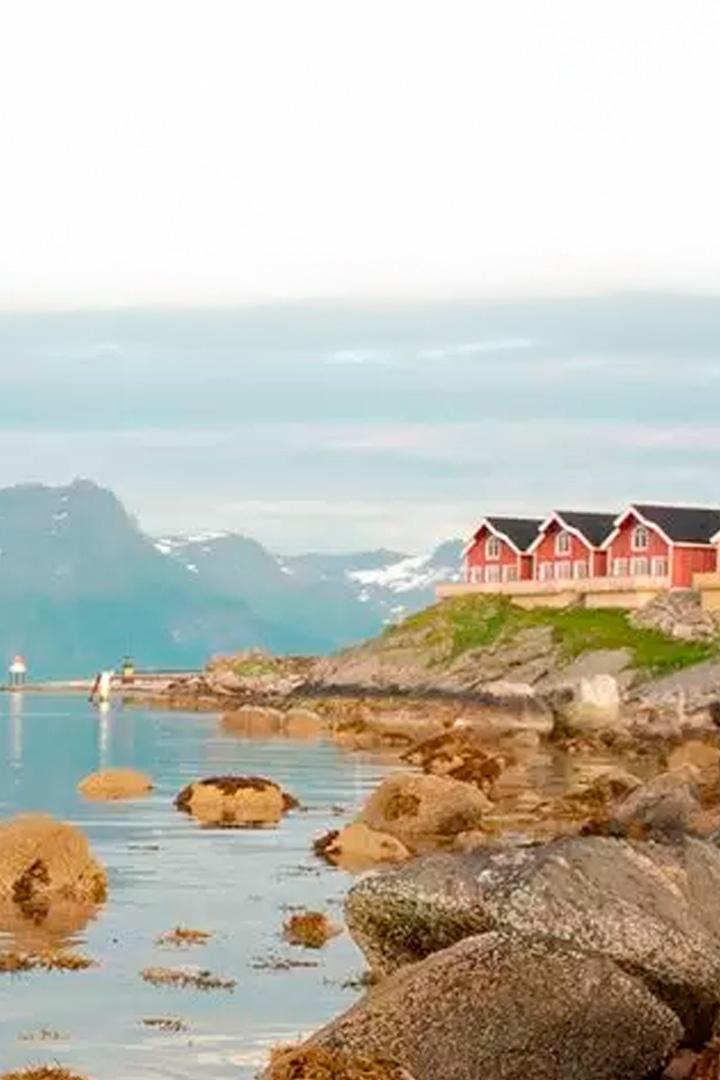 Удачная рыбалка