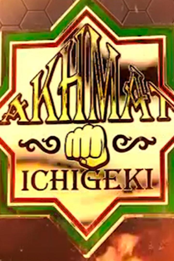 Турнир "Proffights Ахмат-Ичигеки 1"