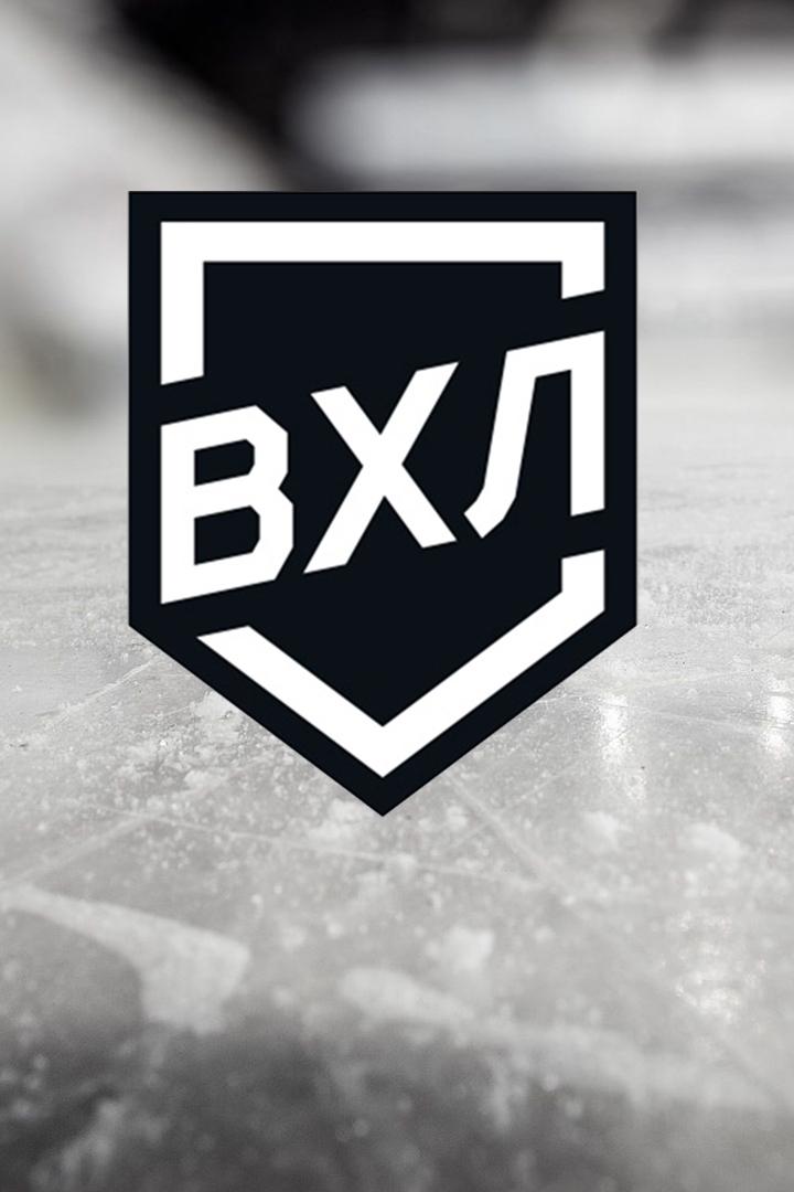 Хоккей. ВХЛ. Динамо (Москва) - Металлург (Новокузнецк)