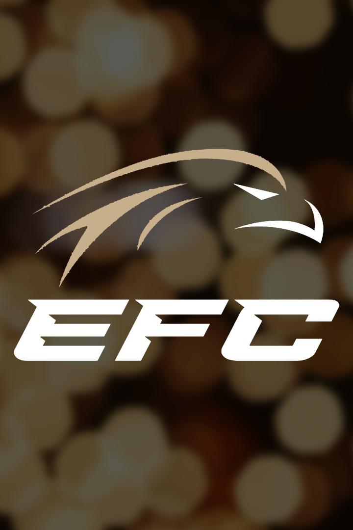 Смешанные единоборства. Eagle FC 42. Александр Шлеменко против Артура Гусейнова. Ренат Хавалов против Патрисио Де Соузы. Трансляция из Сочи