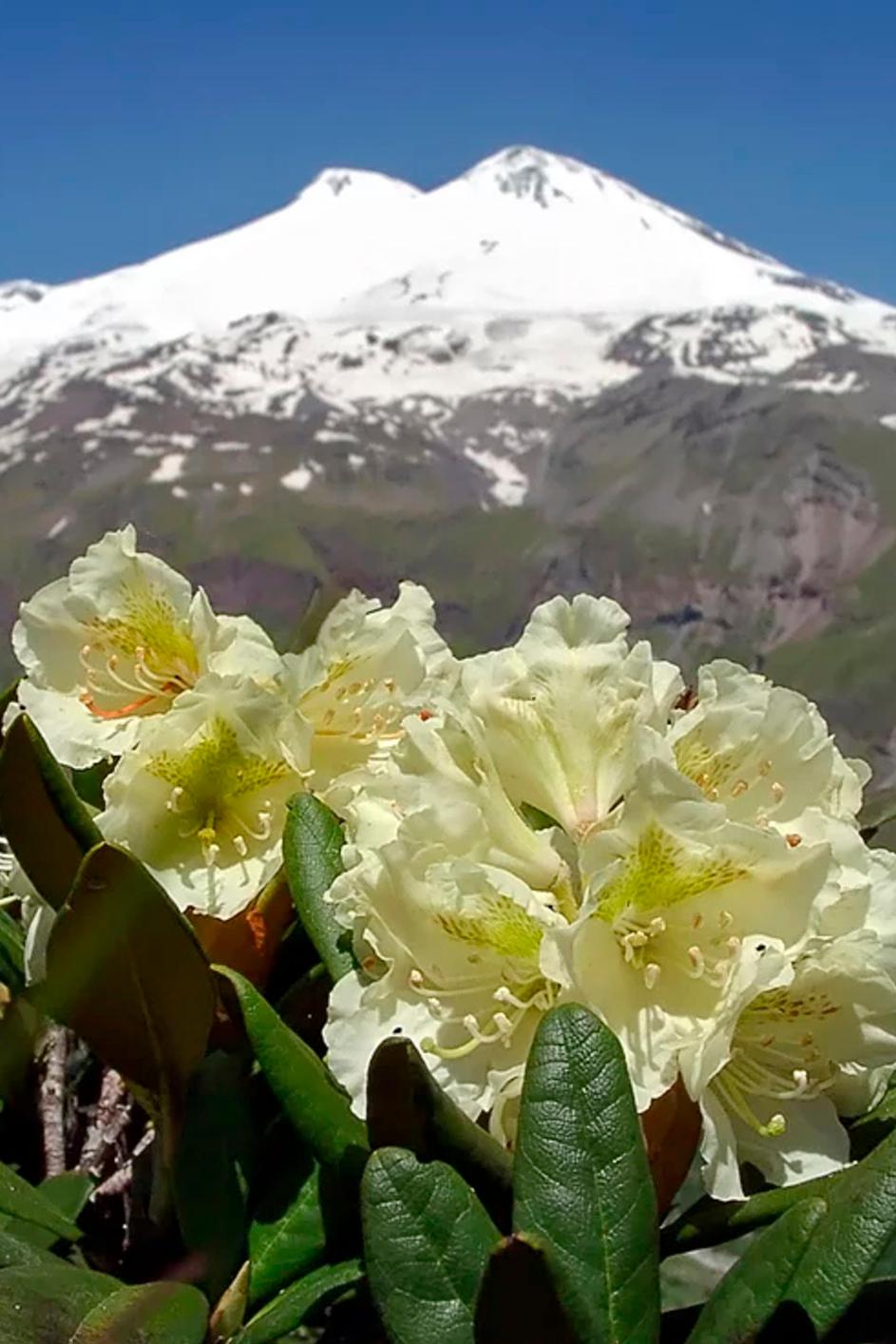 Весенний Кавказ