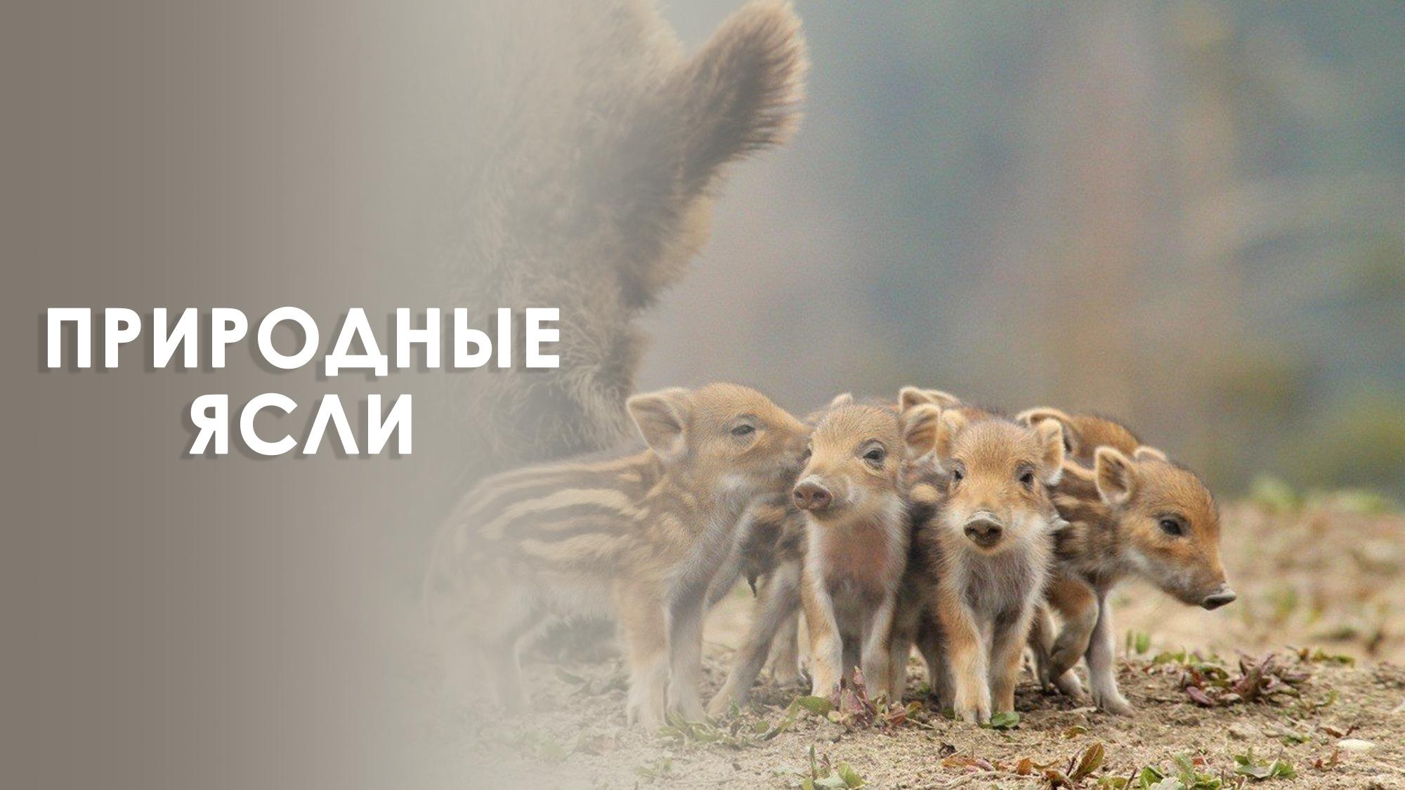 Природные ясли
