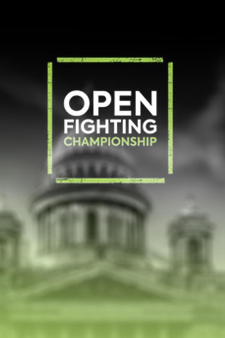 Смешанные единоборства. Турнир "Open Fighting Championship 4"
