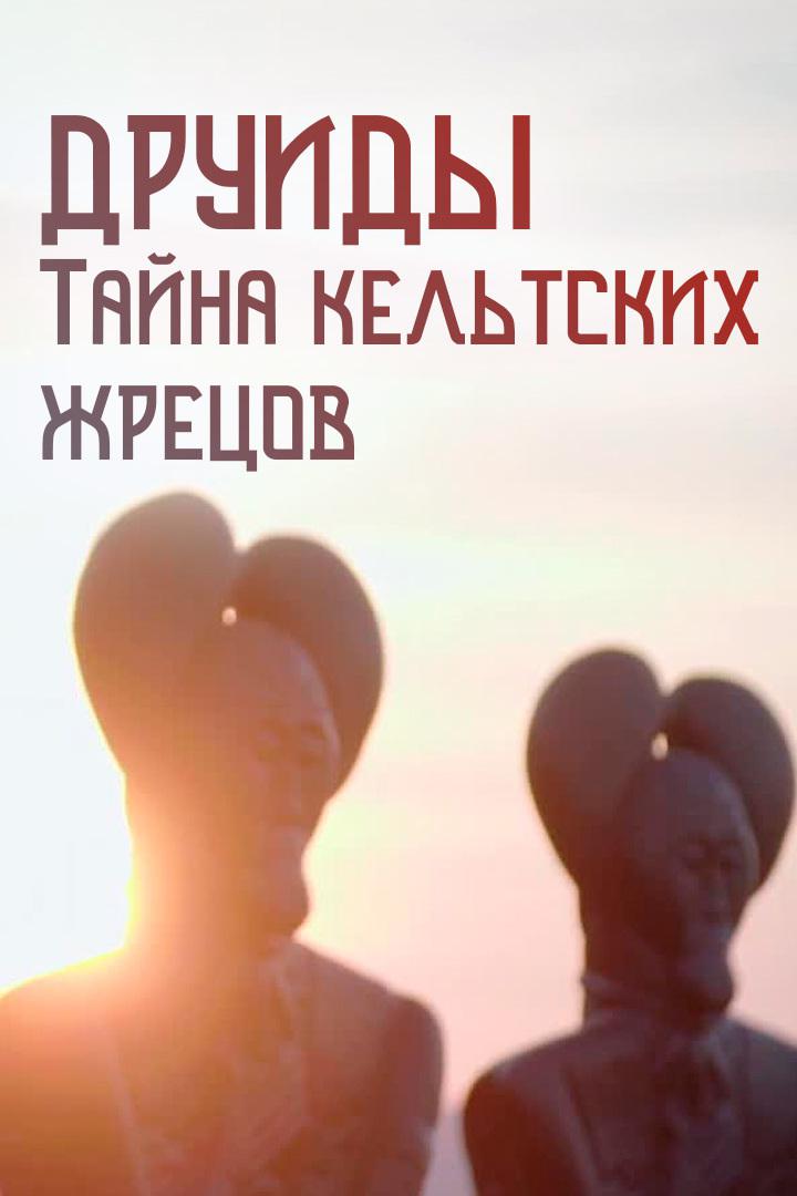 Друиды. Тайна кельтских жрецов