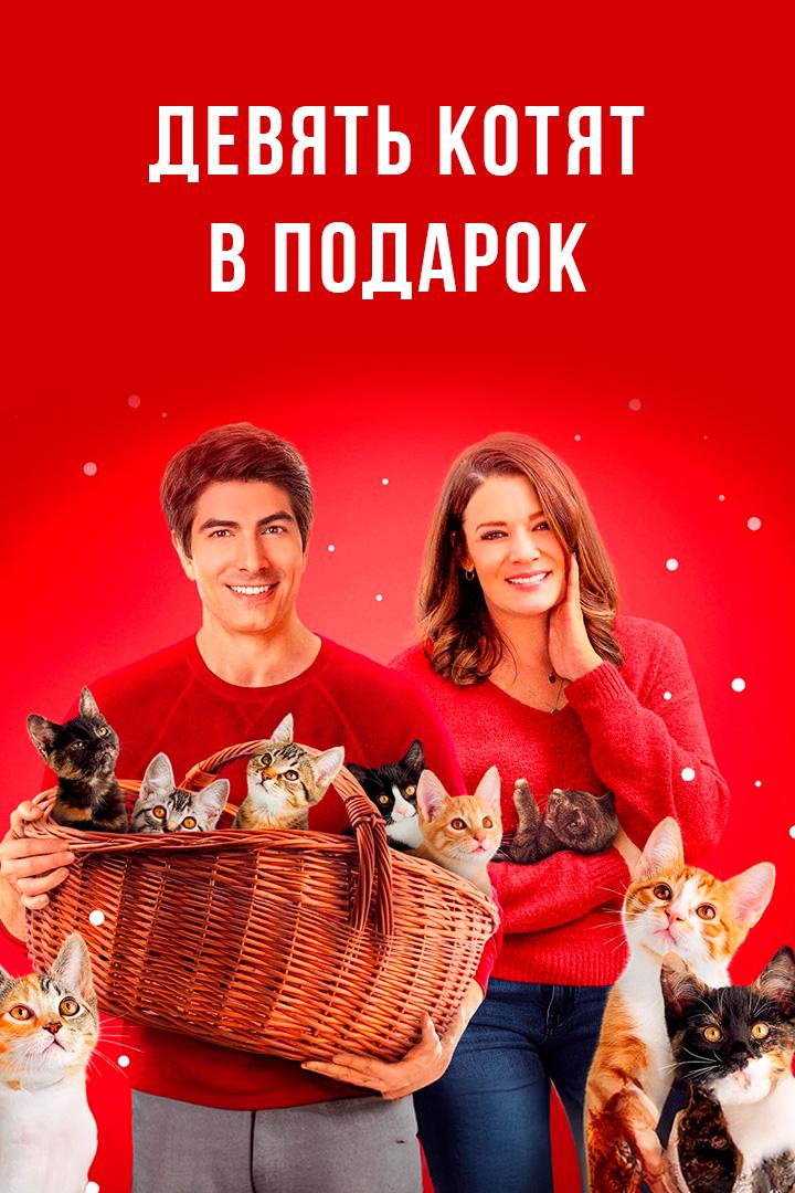 Девять рождественских котят