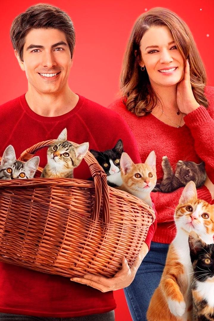 Девять рождественских котят