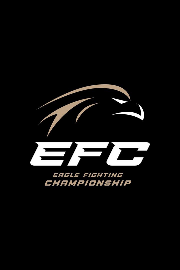 Смешанные единоборства. Eagle FC 43. Фаридун Одилов против Энока Солвеса Торреса. Мехди Дакаев против Маккашарипа Зайнукова. Трансляция из Москвы