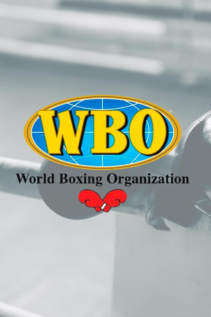 Профессиональный бокс. Линдон Артур - Энтони Ярда. Реванш. Хамза Шираз - Брэдли Скита.Бой за титул чемпиона Европы по версии WBO в первом среднем весе