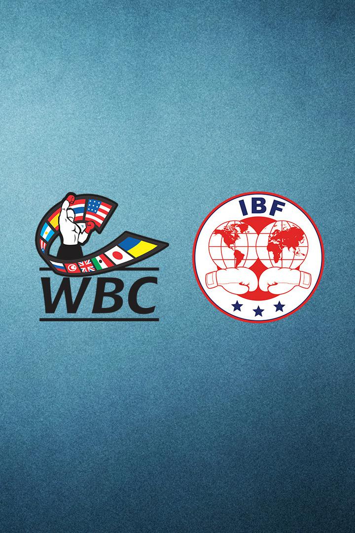 Профессиональный бокс. Артур Бетербиев против Маркуса Брауна. Бой за титулы чемпиона мира по версиям WBC и IBF в полутяжелом весе